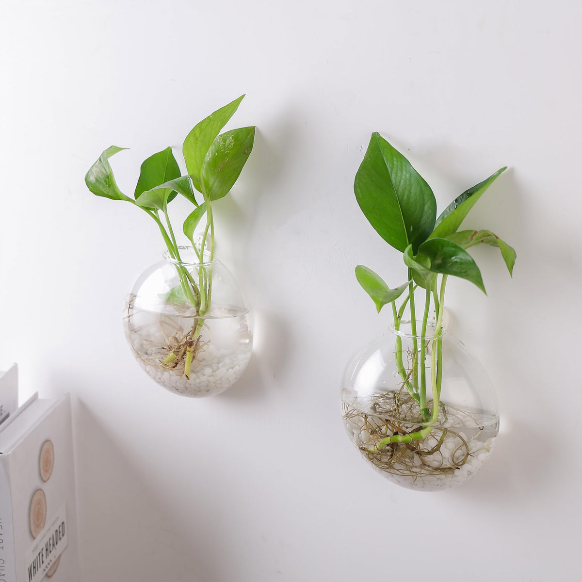 Fashionstorm wall planters 6-pack hanging installation showing easy wall mounting.