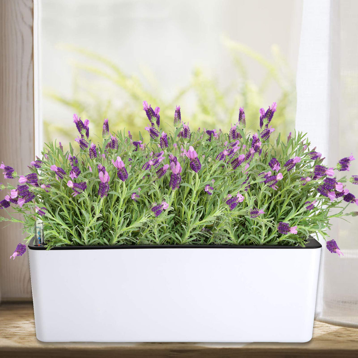 Fasmov balcony or office desk setup with a 16x5.5 inch planter.