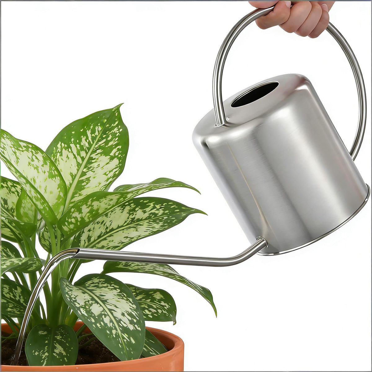 Fasmov precise watering for bonsai plants with long-spout design