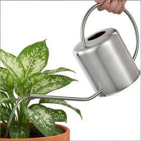 Fasmov precise watering for bonsai plants with long-spout design