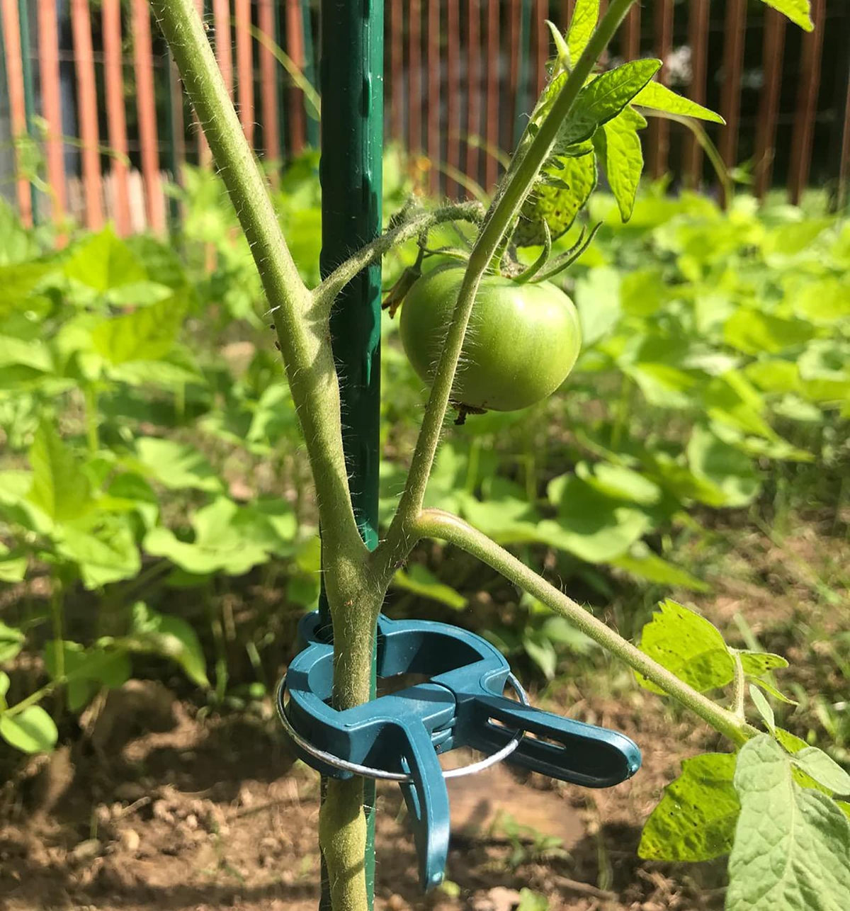 Fasmov clip on tomato cage enables one-handed operation.