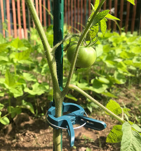 Fasmov clip on tomato cage enables one-handed operation.