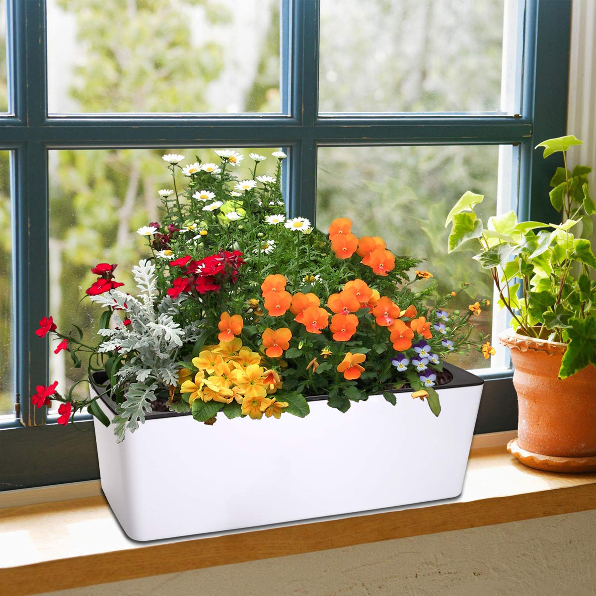 Fasmov glossy plastic planter suitable for indoor and outdoor use.