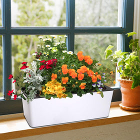 Fasmov glossy plastic planter suitable for indoor and outdoor use.
