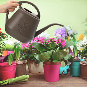Fasmov 1-gallon capacity reduces refills during watering tasks.