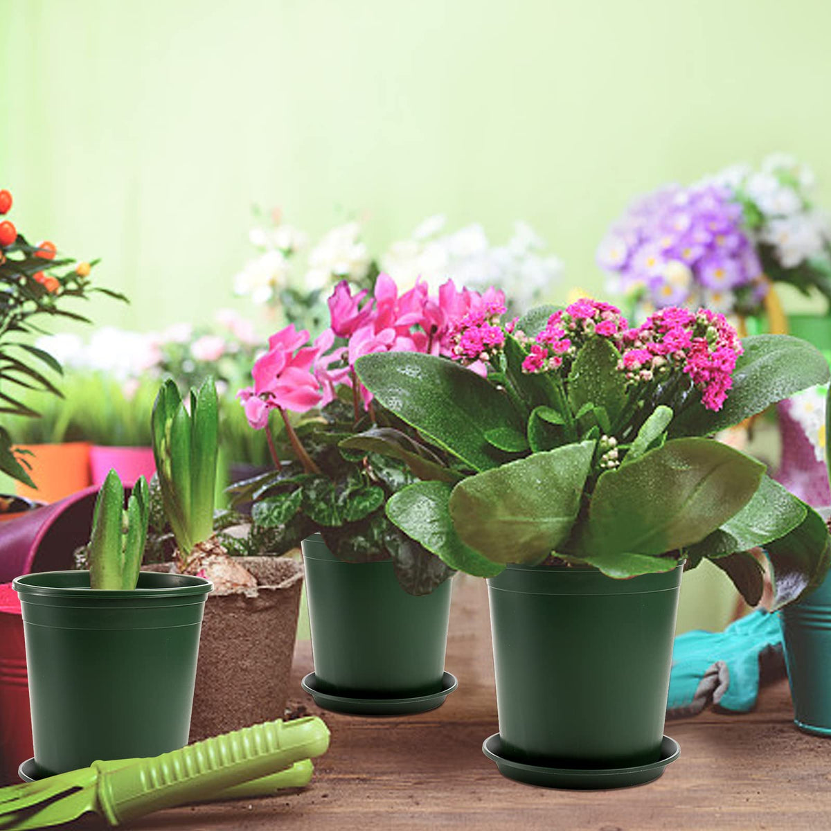 Fasmov nursery pot dimensions with 6.3-inch opening and drain options.