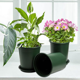 Fasmov nursery pots enhancing homes, gardens, and office spaces.