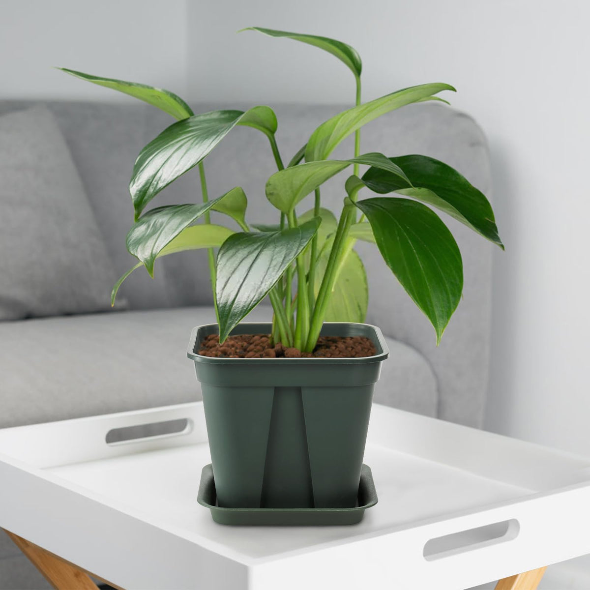 Fasmov plant pot suitable for indoor and outdoor use with versatile layouts