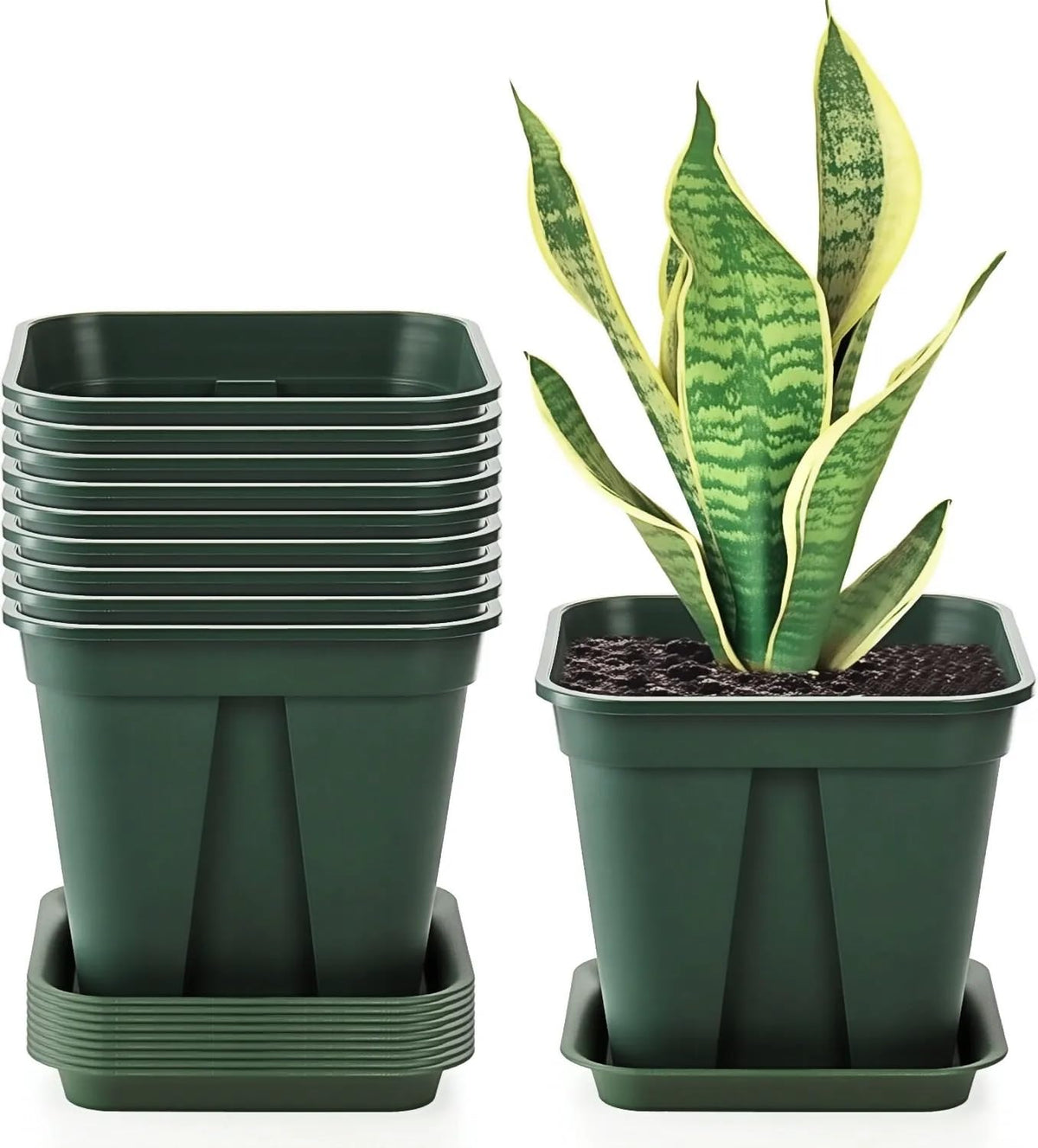 Fasmov square 7-inch nursery pot top view with easy handling and drainage