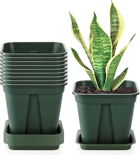 Fasmov square 7-inch nursery pot top view with easy handling and drainage