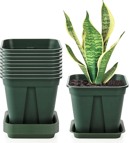 Fasmov square 7-inch nursery pot top view with easy handling and drainage