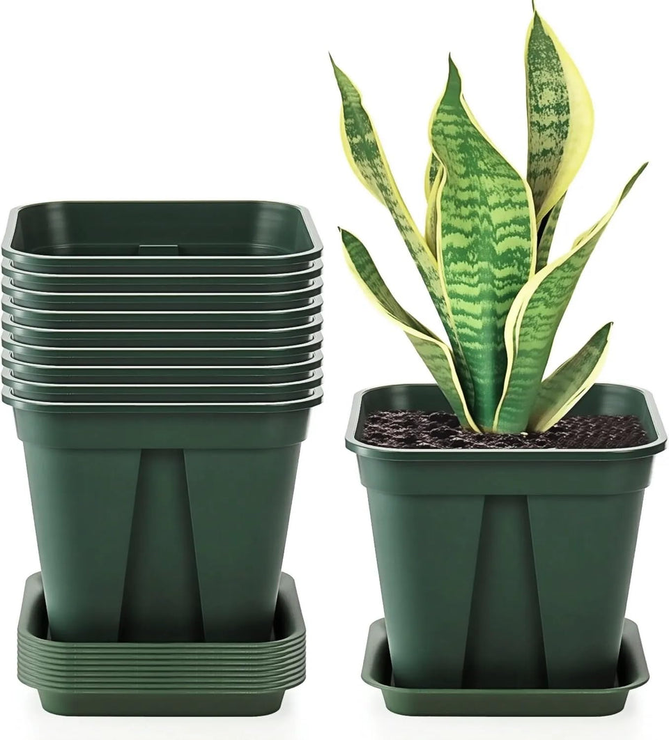 Fasmov square 7-inch nursery pot top view with easy handling and drainage