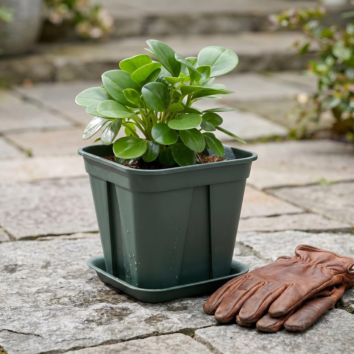 Fasmov square pot with bulged sides adds durability and maintains shape