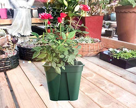 Fasmov stackable nursery pot saves space during storage and setup