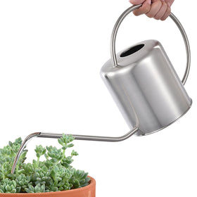 Fasmov durable stainless steel watering can demonstrates resilience and quality