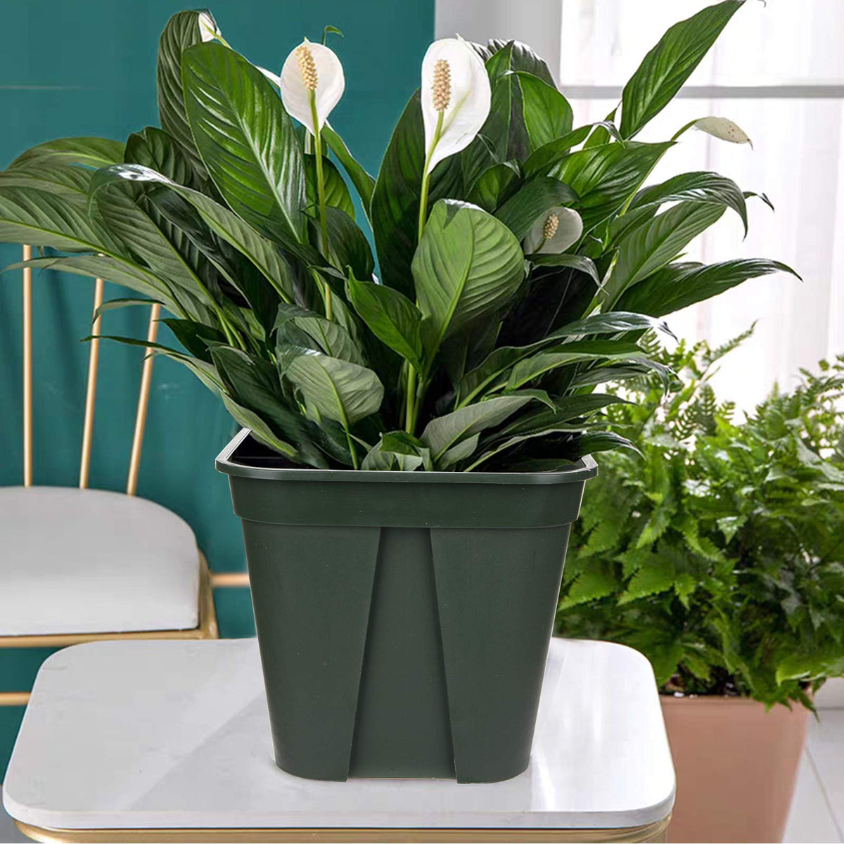 Fasmov succulent herb pot 7-inch ideal for small plants and herbs
