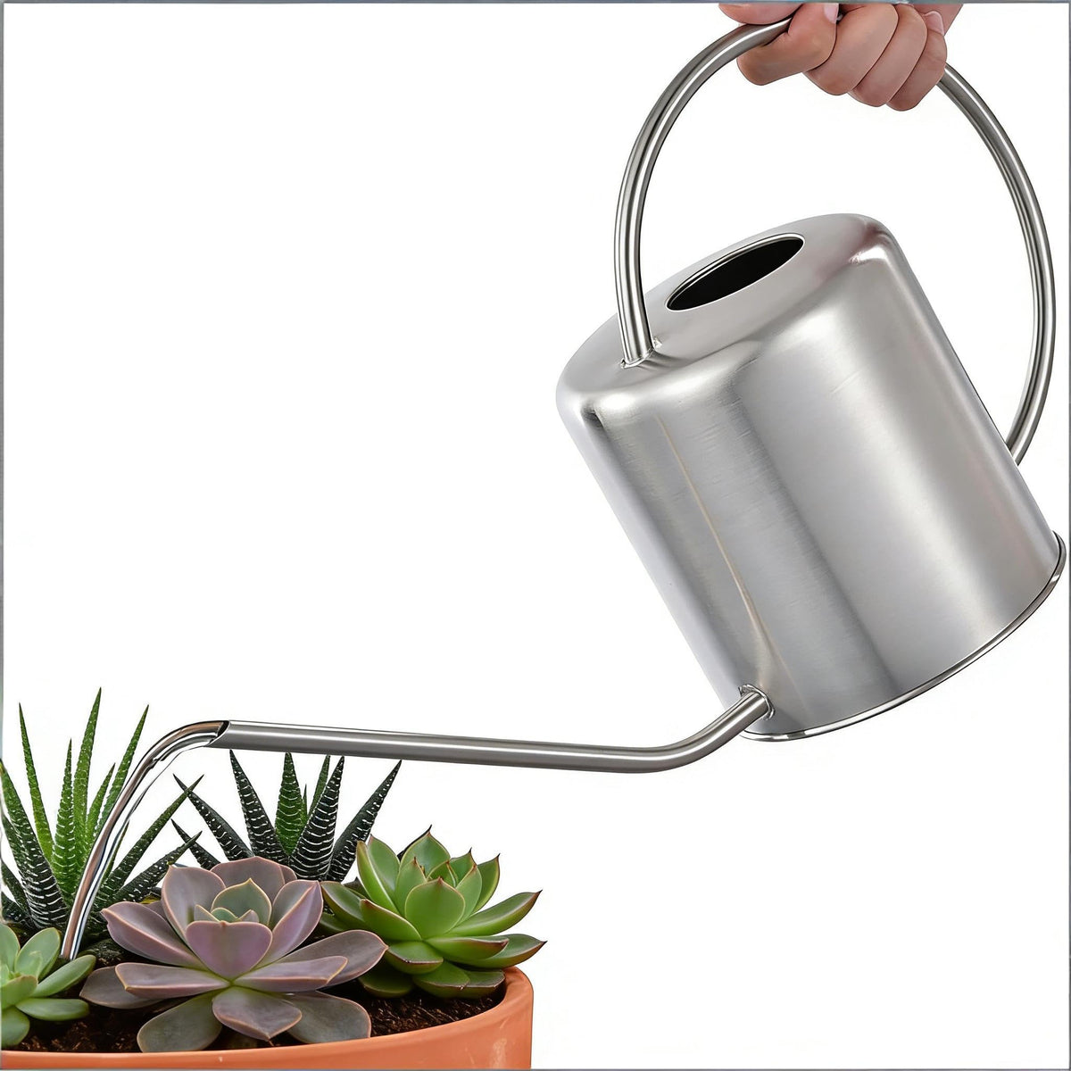 Fasmov watering can used indoors and outdoors for versatile watering
