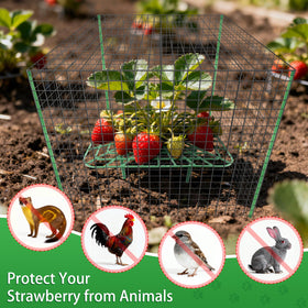 Fayoo animal-deterrent metal cage blocks birds and small critters