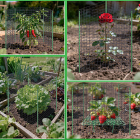 Fayoo complete garden cage kit suits outdoor strawberry setups