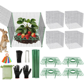 Fayoo strawberry support stands provide sturdy protection for berries