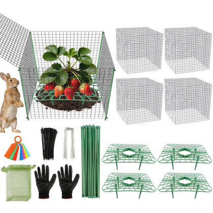 Fayoo strawberry support stands provide sturdy protection for berries