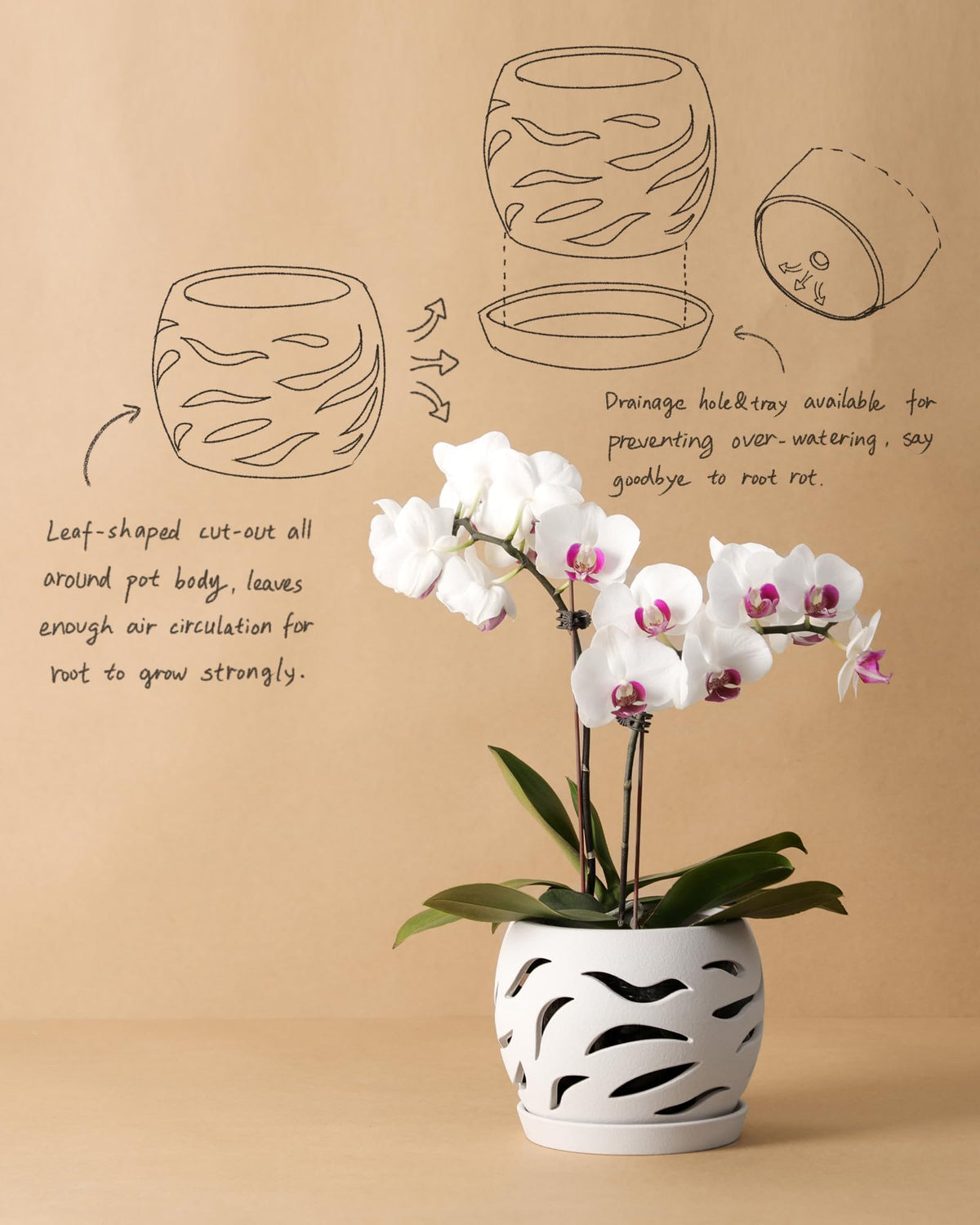 Fayoula white ceramic orchid pot complements any decor style