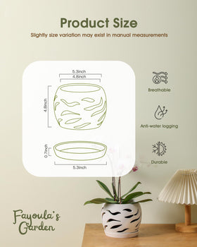 Fayoula orchid pot with drainage hole and saucer prevents water runoff