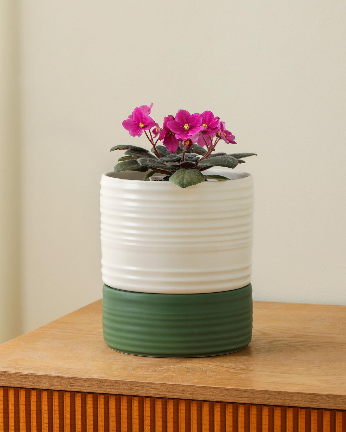 Fayoula ceramic planter with reservoir aids steady hydration and air flow.