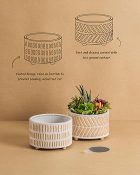 Fayoula ceramic planters with drainage hole help prevent waterlogging.