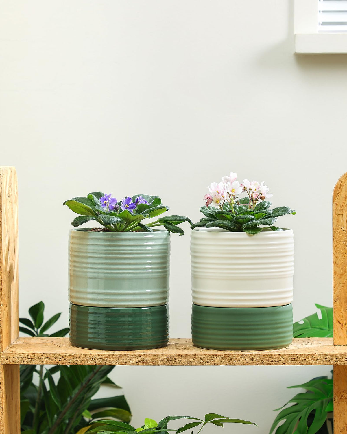 Fayoula herbs and succulents thrive with built-in moisture management.