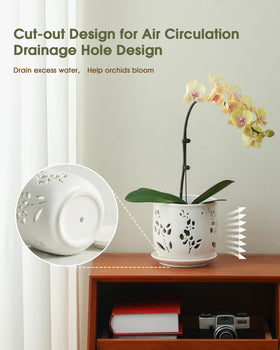 Fayoula orchid pot shows drainage hole and removable tray for tidy watering.