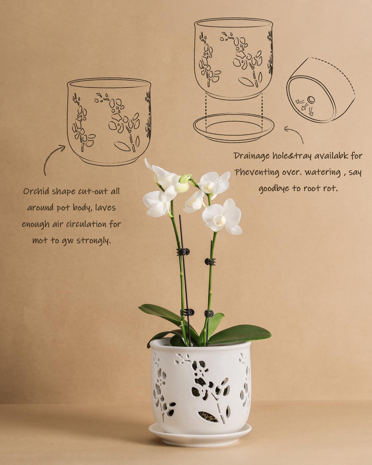 Fayoula orchid pot designed for easy repotting and clean maintenance.