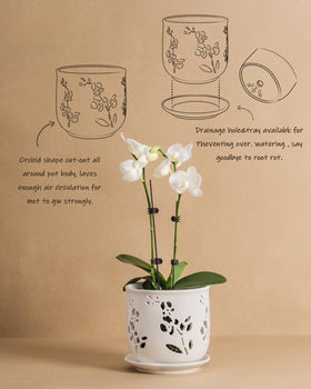 Fayoula orchid pot designed for easy repotting and clean maintenance.