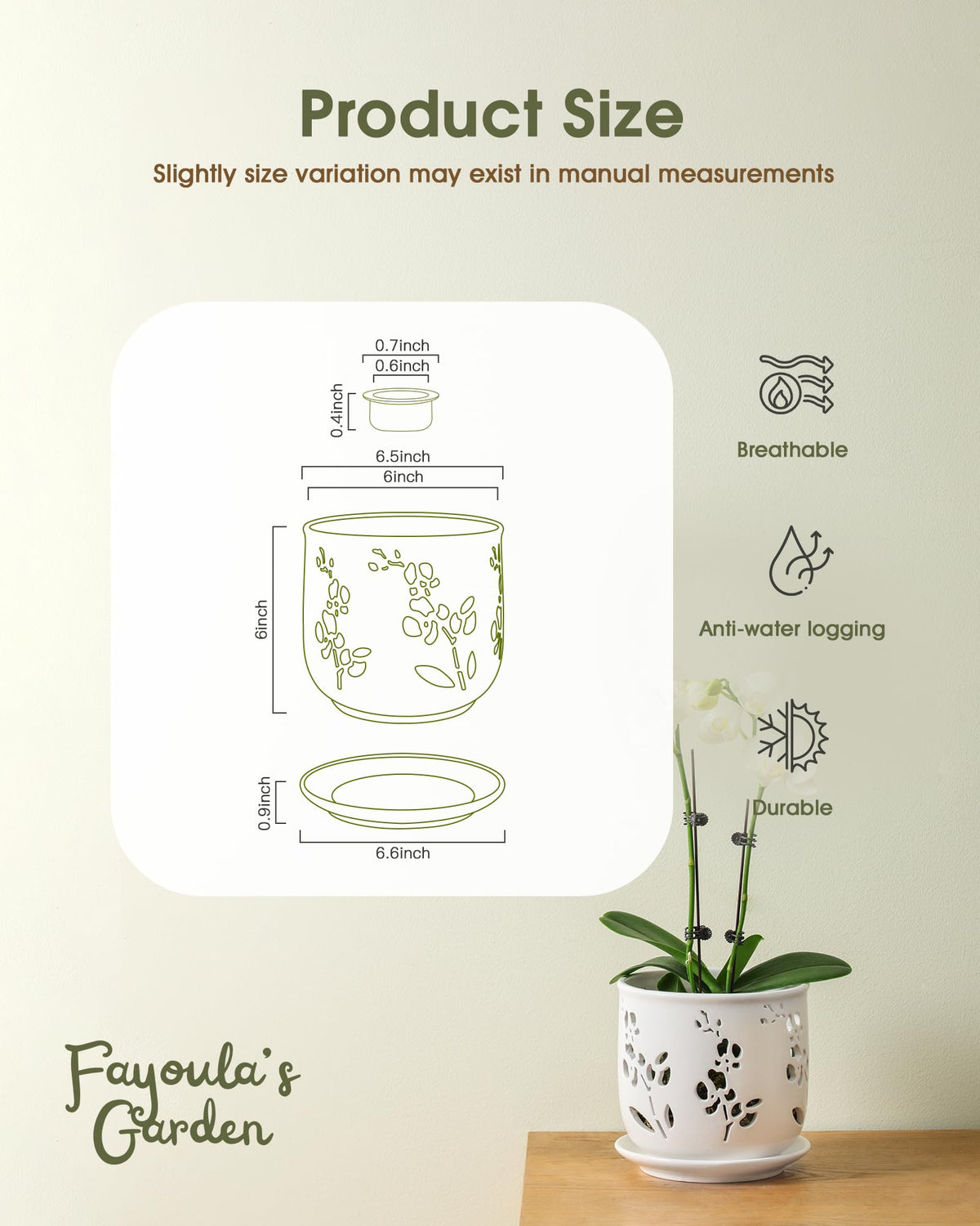 Fayoula orchid pot in lightweight ceramic easy to move.