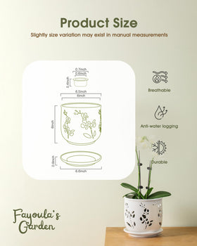 Fayoula orchid pot in lightweight ceramic easy to move.