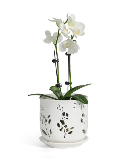 Fayoula Orchid Pots 6.5-inch large in lightweight ceramic for easy repositioning.