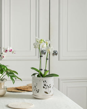 Fayoula orchid pot featuring elegant orchid-patterns for stylish growth spaces.