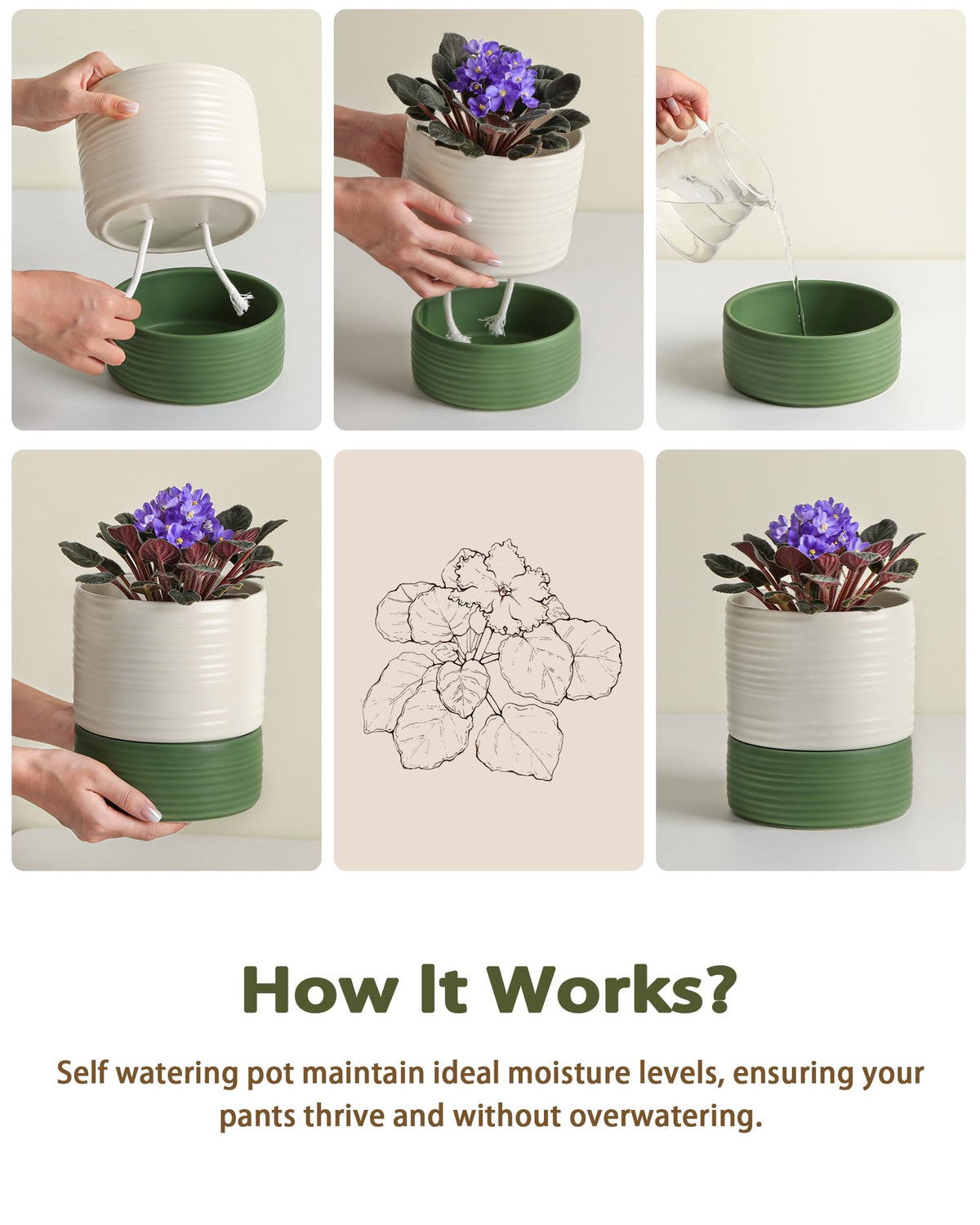 Fayoula pot on windowsill showcases versatile indoor placement.