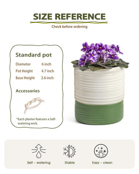 Fayoula self-watering pot 6-inch diameter supports low-maintenance indoor plant care.