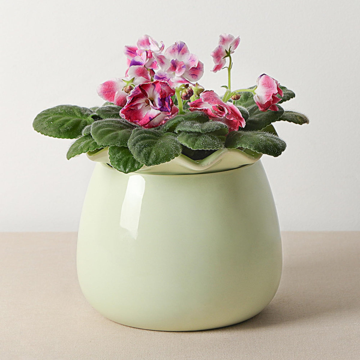 Fayoula self-watering pot ceramic showcases a stylish design for hands-off indoor plants.