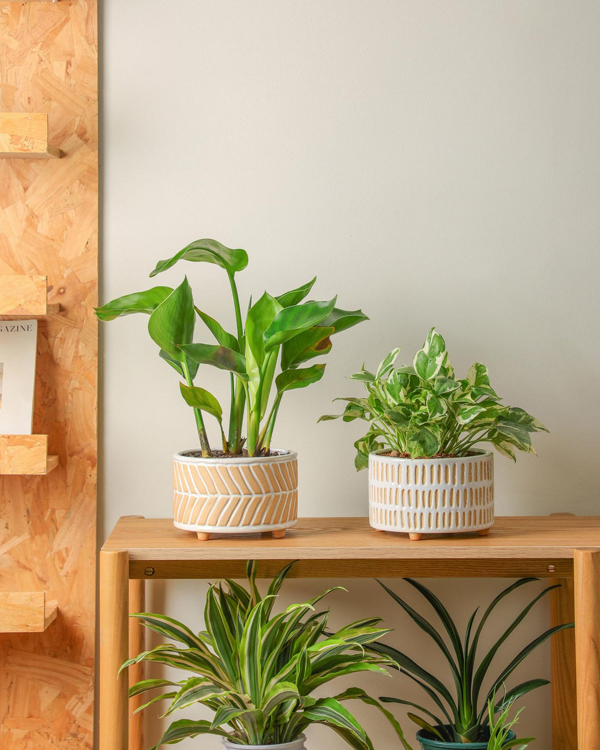 Fayoula set of 2 ceramic planters for coordinated indoor displays.
