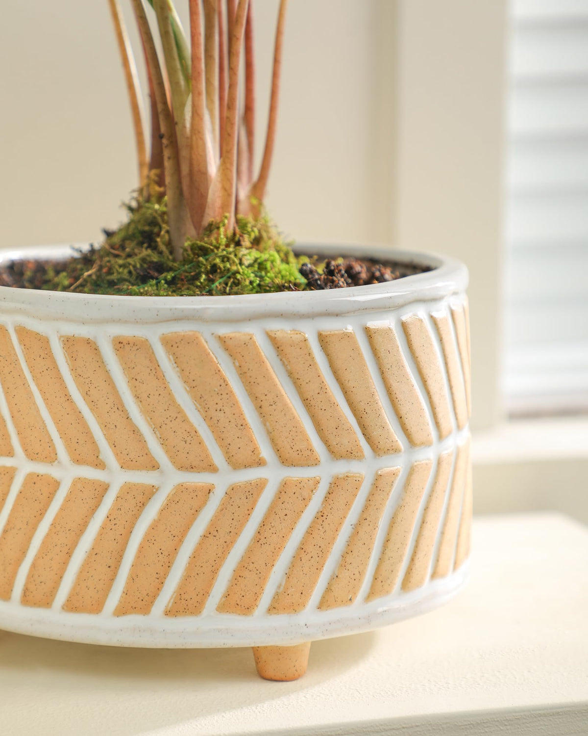 Fayoula stoneware pots with glaze for durable, daily use.