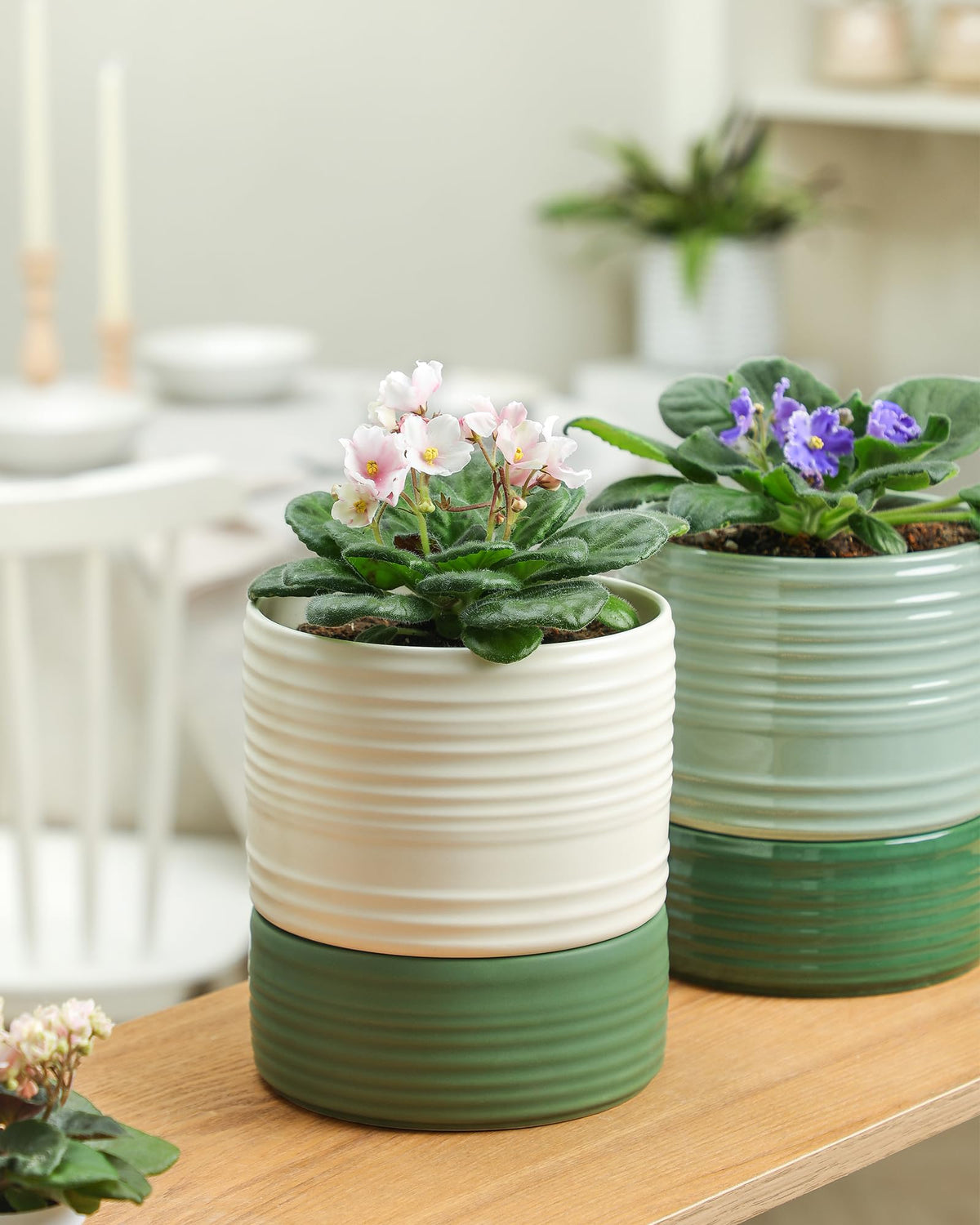 Fayoula striped texture adds subtle style while supporting plant health.