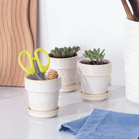 Fayoula 3in drainage-hole pot supports healthy root growth for small plants.