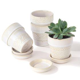 Fayoula 3in kid-friendly design pot invites creative DIY gardening.