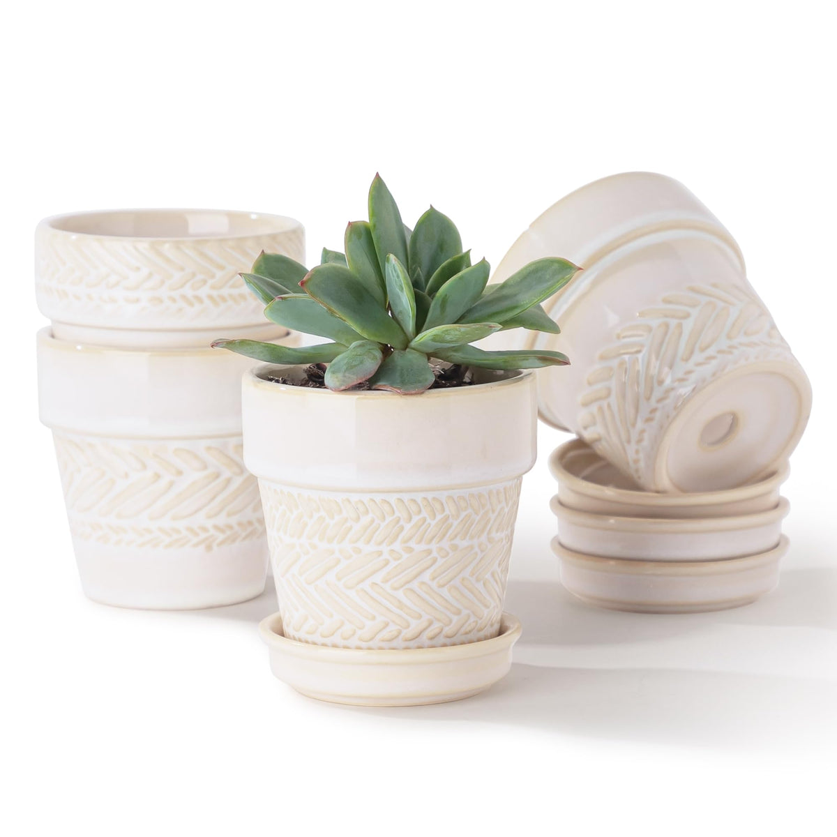 Fayoula 3in set-4 relief-pattern succulent pot for a stylish compact display.