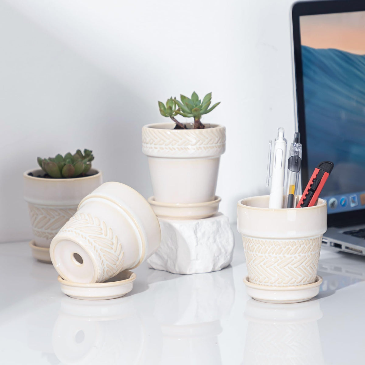 Fayoula 3in windowsill-display pot offers a versatile decor accent.