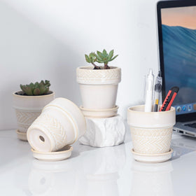 Fayoula 3in windowsill-display pot offers a versatile decor accent.