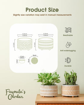 Fayoula succulent pots in floral pattern add charm while supporting drainage.
