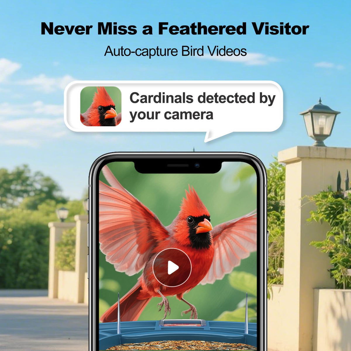 Fazoxo AI bird recognition feature interface showing species identification